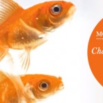Motivation Monday: Change Your Perception, Change Your Life